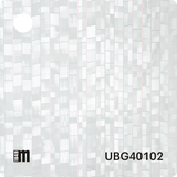 UBG40101