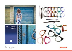 Attraction | Library | Mazzucchelli1849