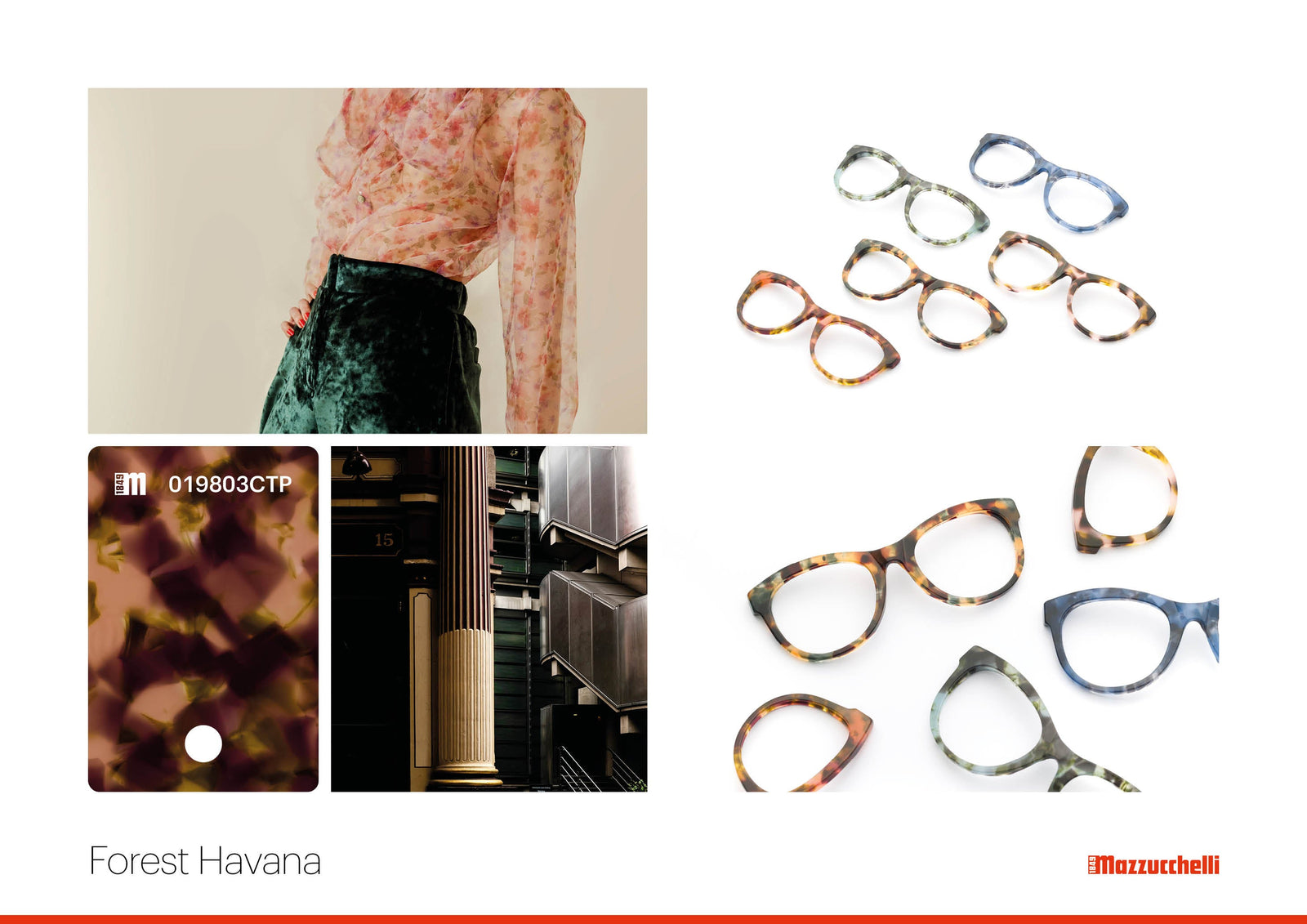 Forest Havana | Mazzucchelli 1849