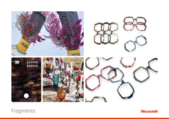 Fragments | Library | Mazzucchelli1849