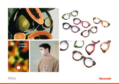 Meta | Library | Mazzucchelli1849