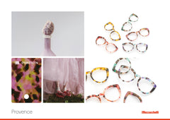 Provence | Library | Mazzucchelli1849