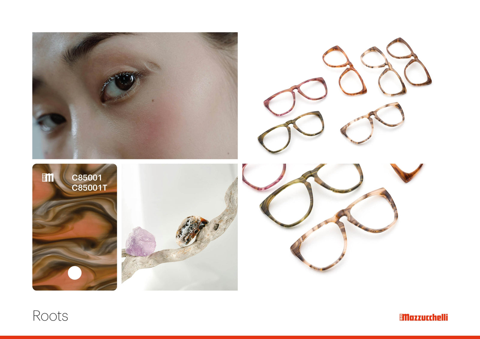 Roots | Mazzucchelli 1849