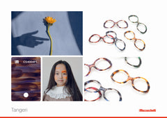 Tangeri | Library | Mazzucchelli1849