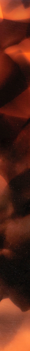 016758CTN