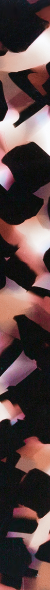 017080CTN