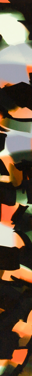 017082CTN