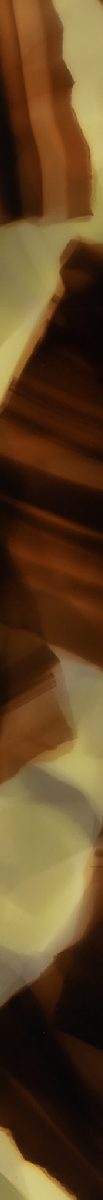 017655CTN