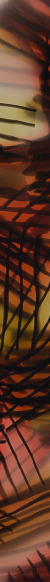 018263CTN