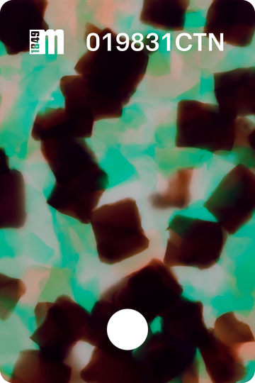 019831CTN