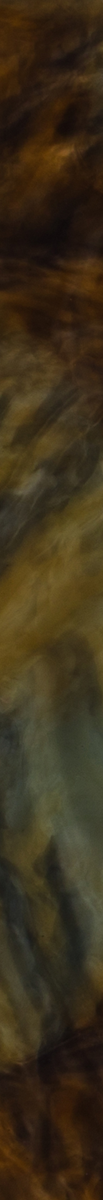 020044CTN