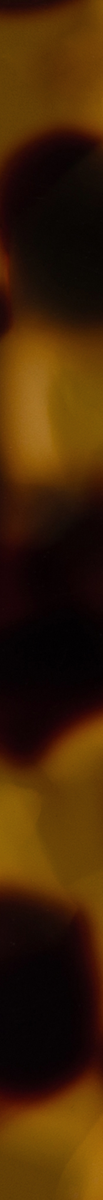 020052CTN
