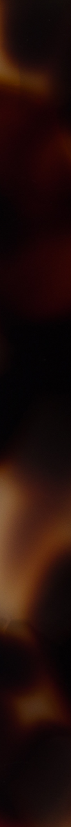 020054CTN
