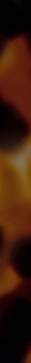 020056CTN