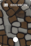 020252CTN