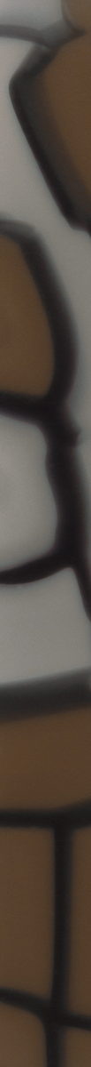 020249CTN