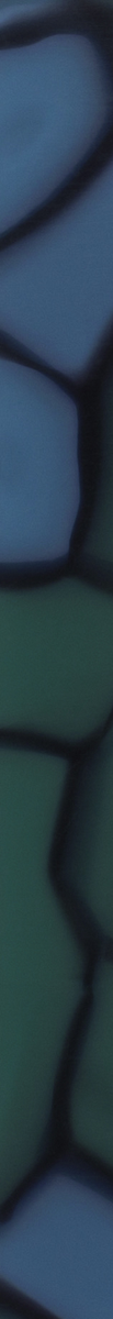 020251CTN