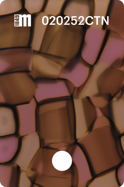 020252CTN