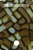 020249CTN