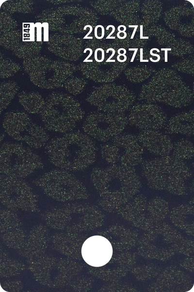20287L