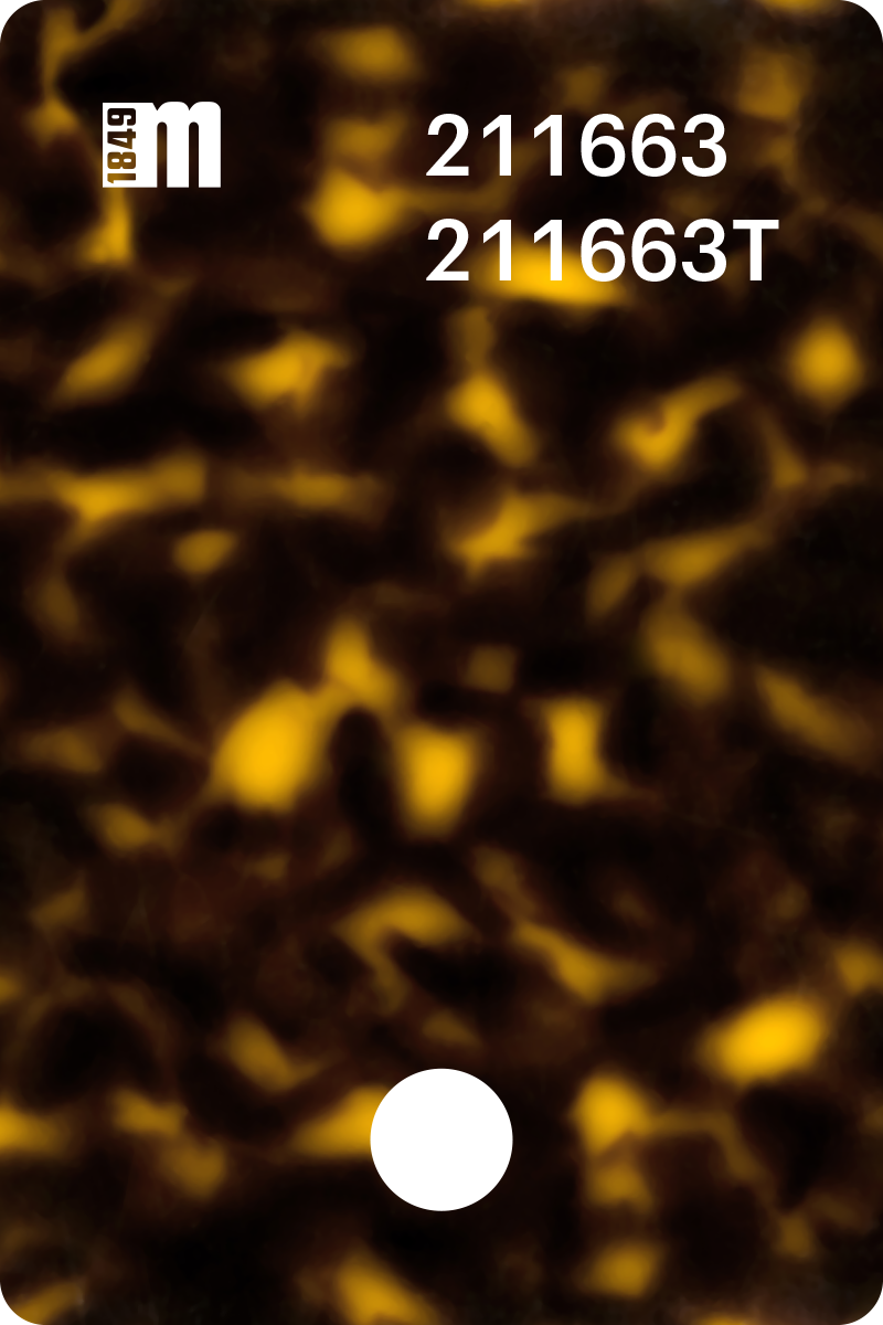 211663 | Mazzucchelli 1849