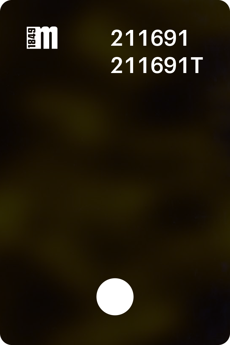 211691 | Mazzucchelli 1849