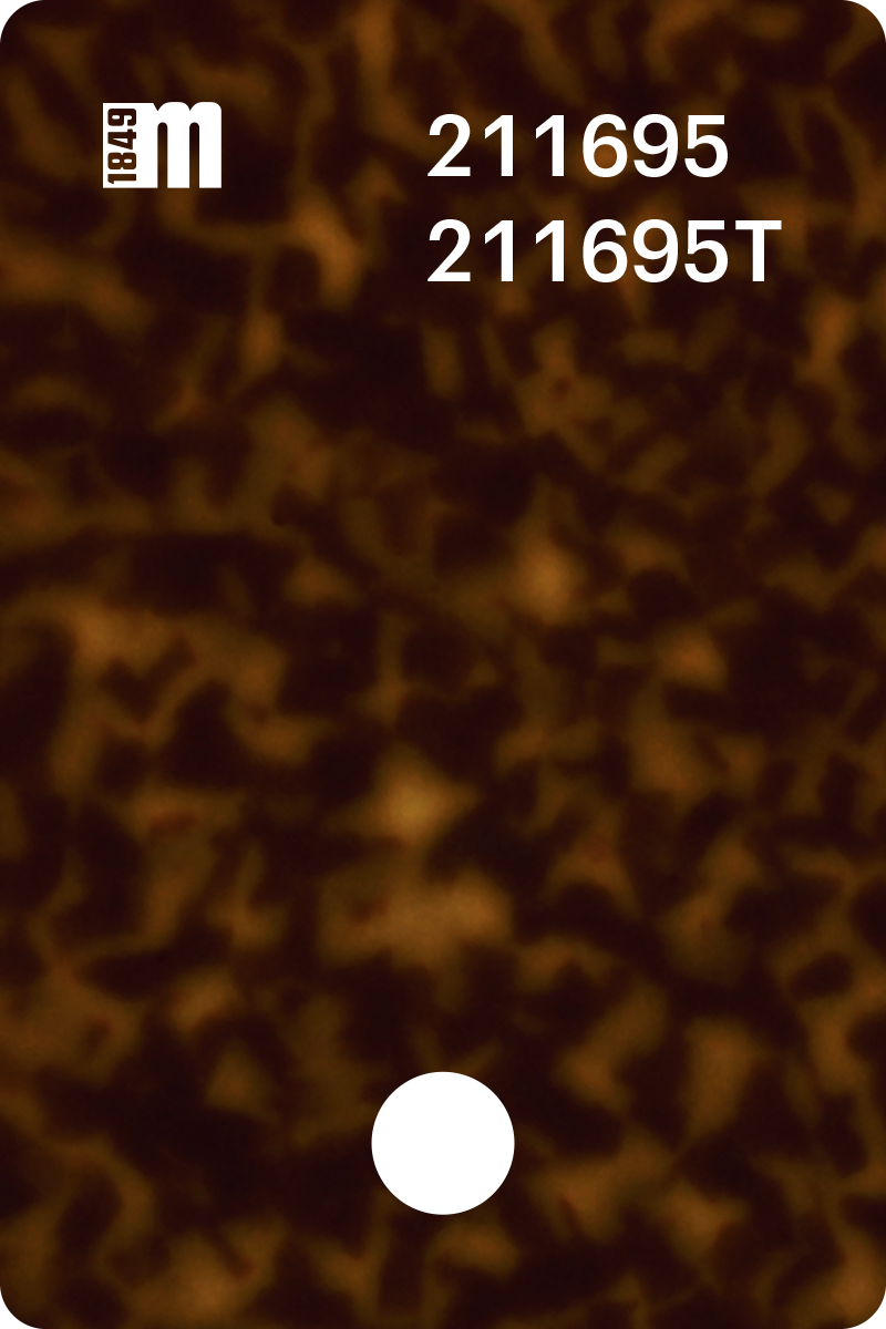 211695 | Mazzucchelli 1849