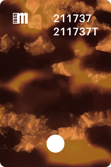 211737