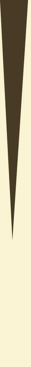 270204