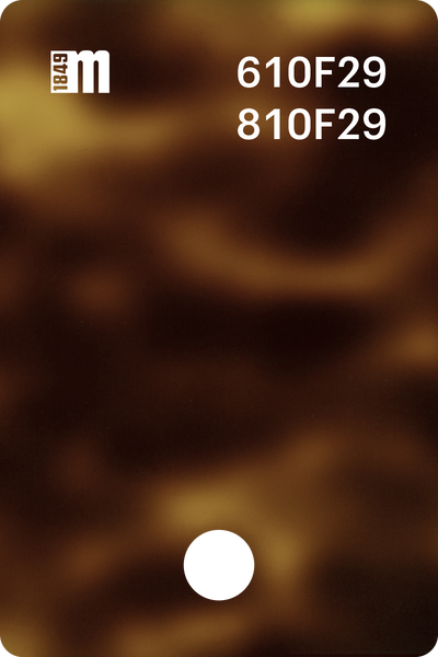 810F29