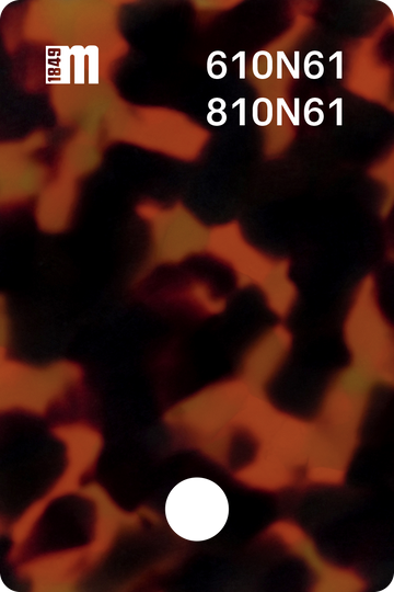610N61
