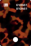 610N60