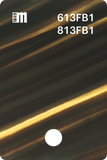 613FB0