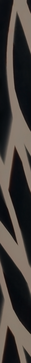 621364