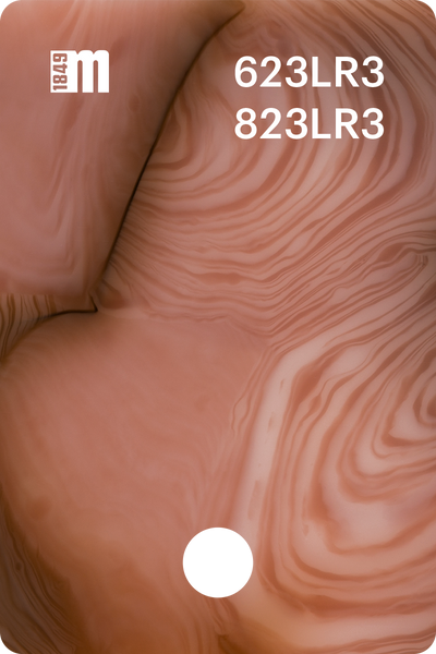 623LR3 | Mazzucchelli 1849