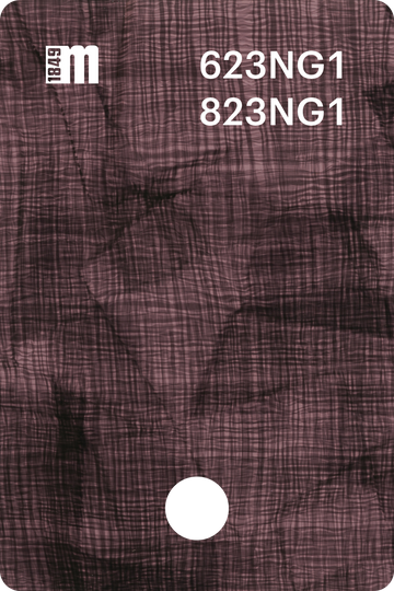 623NG1