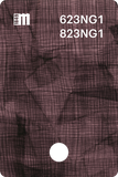 623NG3