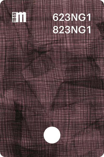 623NG1