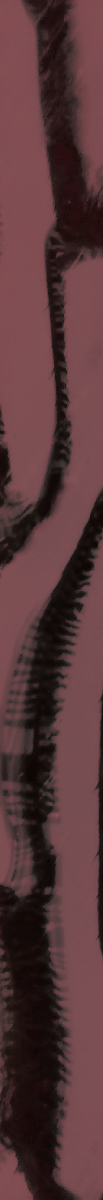 623NG1