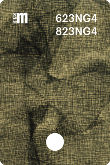 623NG4