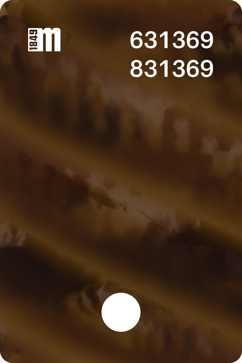 631369 | Mazzucchelli 1849