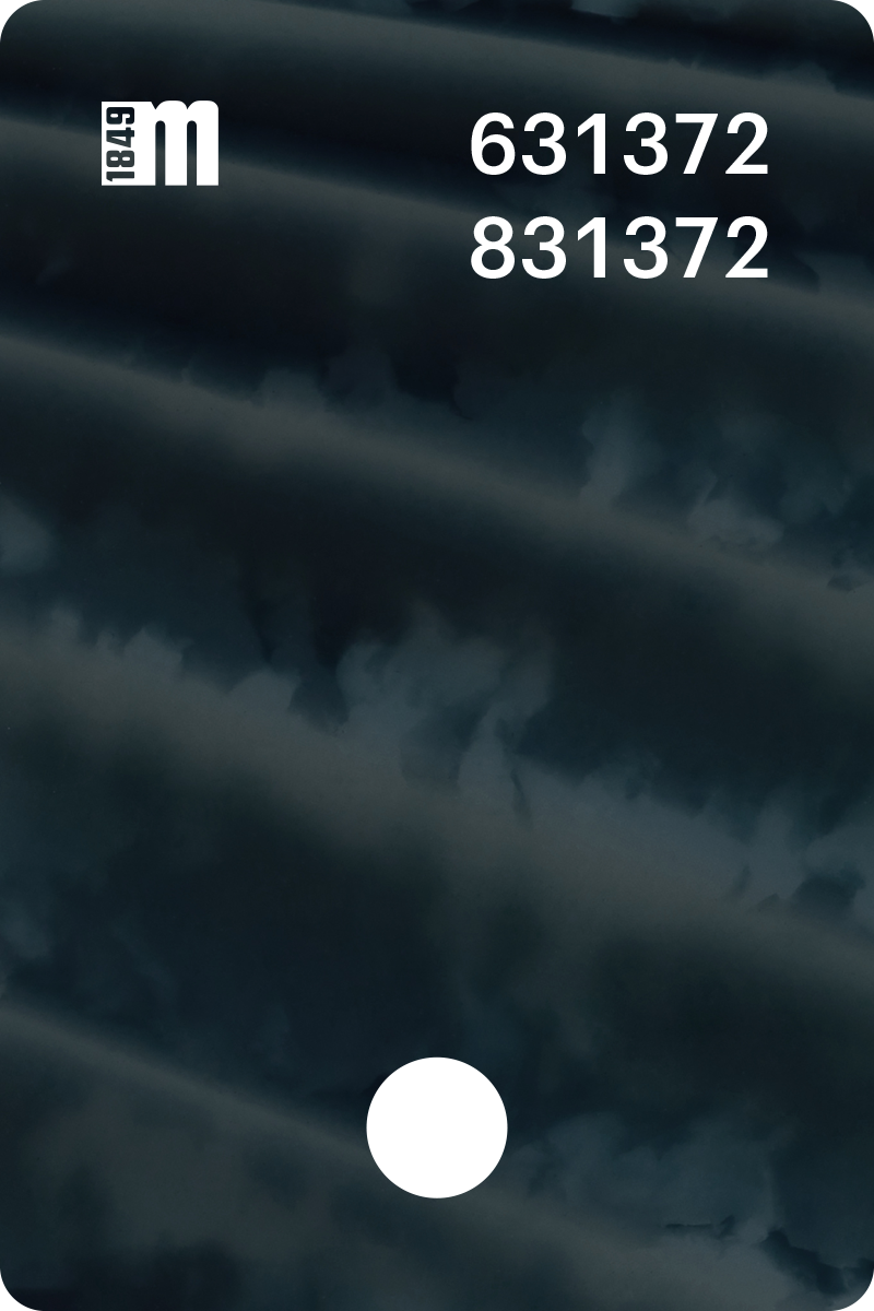 631372 | Mazzucchelli 1849