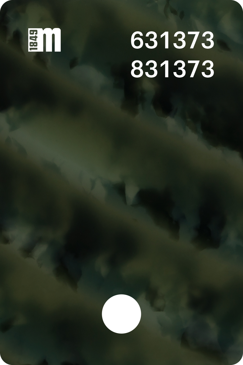 631373 | Mazzucchelli 1849