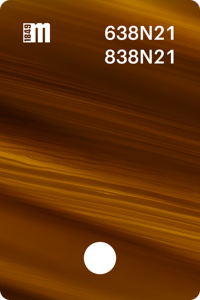 638N21