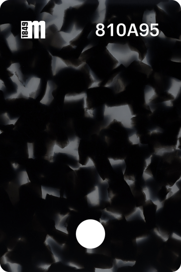 810A95