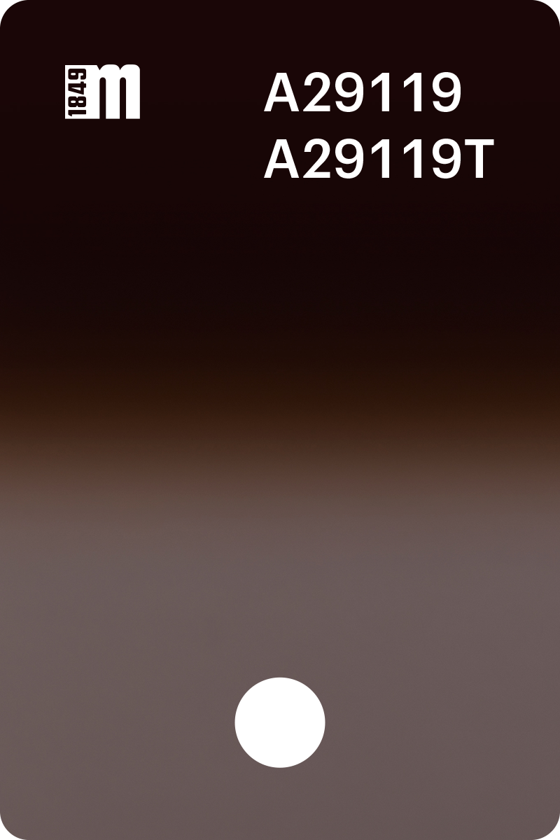 A29119 | Mazzucchelli 1849