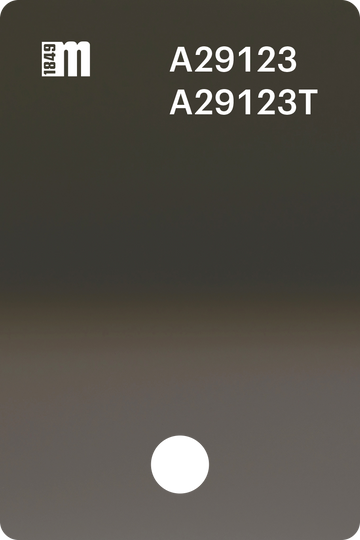 A29123