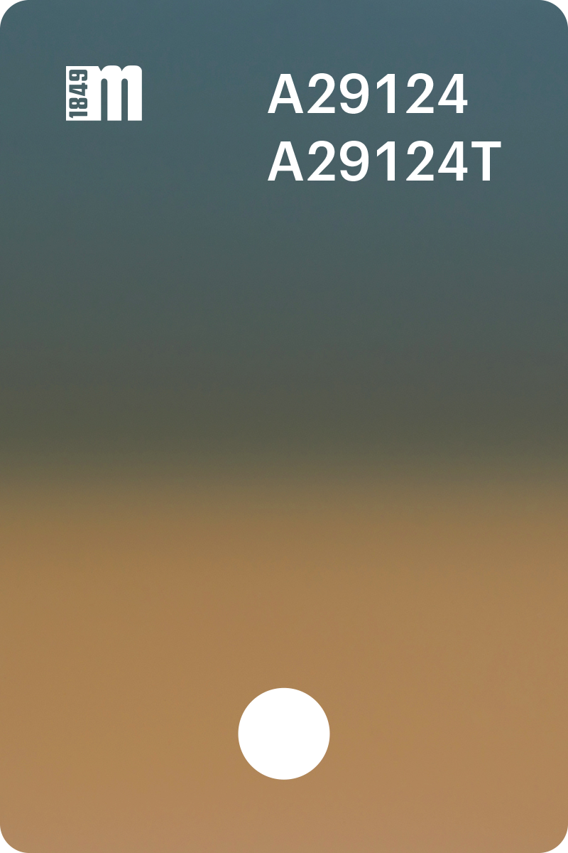 A29124 | Mazzucchelli 1849