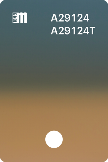 A29124