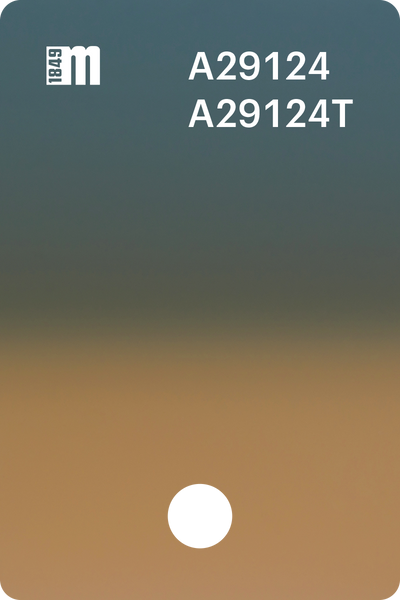 A29124